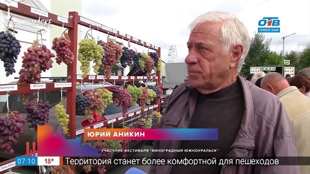 Сюжет «Фестиваль винограда» смотреть онлайн