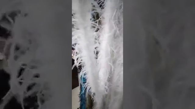 Боа из перьев страуса, однослойное, длинна 2м. - Белые смотреть онлайн
