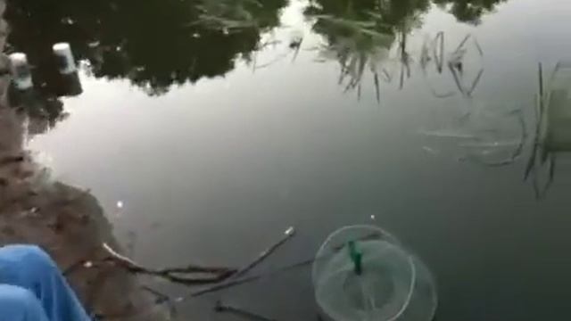 Рыбалка в Разливе смотреть онлайн