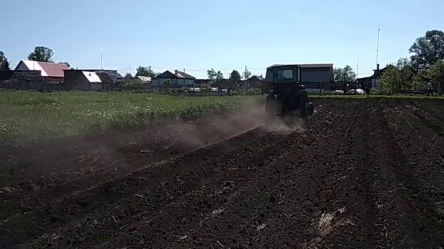 Прополка картофеля самодельным трактором с ежами смотреть онлайн