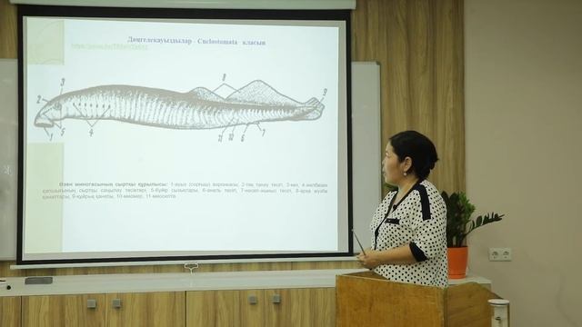 Берденқұлова А.Ж. Дөңгелеқауыз дылар смотреть онлайн