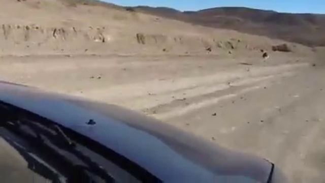 Птицы нанду смотреть онлайн