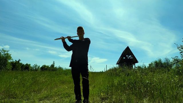 John Williams - A Window to the Past на Флейте смотреть онлайн