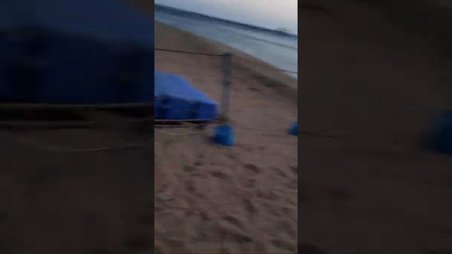 Самое чистое море в мире Красное море! смотреть онлайн