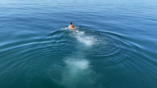 05.11.2021. Погода в Сочи в ноябре. Смотри на Чёрное море каждый день. смотреть онлайн