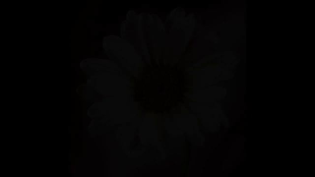 Тим Рихтер (Richter Tim) картины великих художников смотреть онлайн