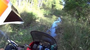 Прогулка по лесу Honda Africa Twin XRV-750