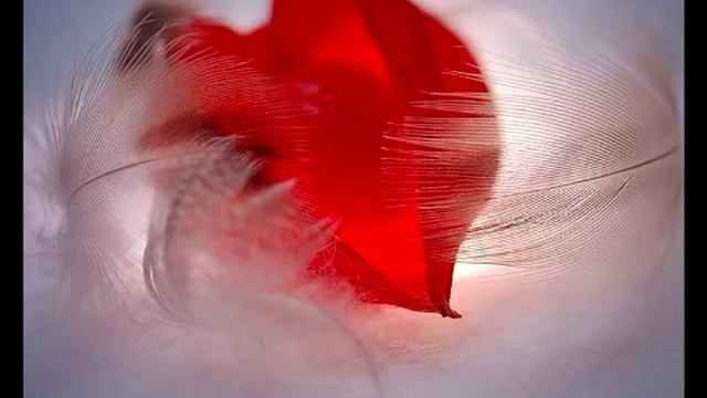 Нелли Хакель на стихи А.С, Пушкина "Если с нежной красотой" Рига,2014 смотреть онлайн