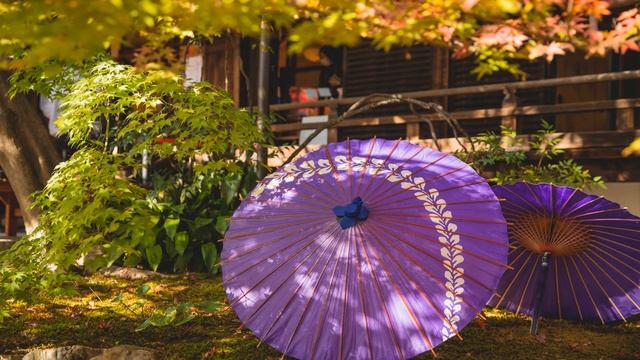 Музыка для релакса и йоги под игру китайской флейты и звуков природы. music for relaxation смотреть онлайн