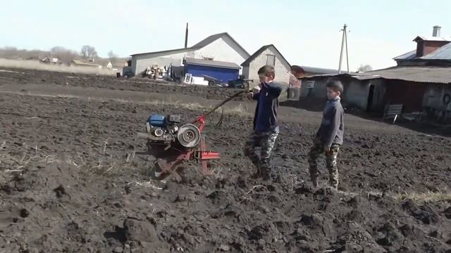 Ручная сеялка. Продолжаем сеять морковь. смотреть онлайн