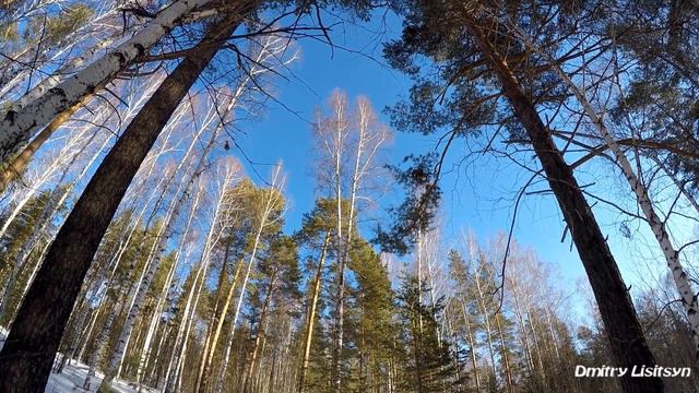 По заячьим следам. смотреть онлайн