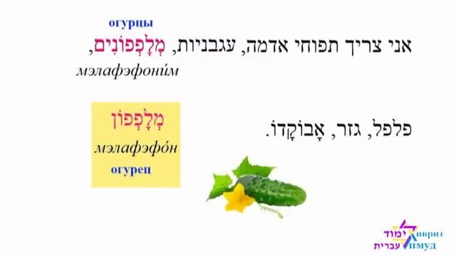 Диалог 3 СОСЕДИ / שכנים смотреть онлайн
