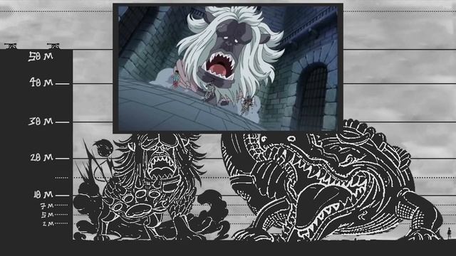 One Piece Size Comparison