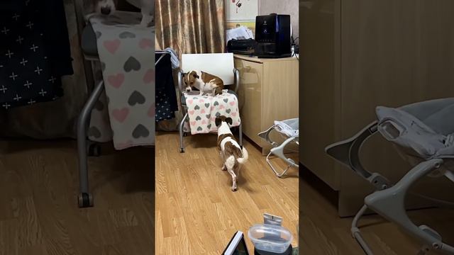 Нашёл своё место 😅 смотреть онлайн