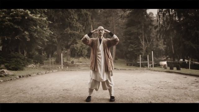 洗髓经 Shaolin Bone Marrow Khi Cong in das rain with Master Shi Heng Yi of Shaolin Temple Europe смотреть онлайн