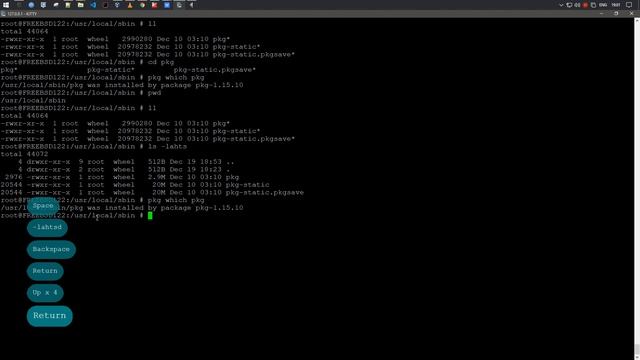pkg which | Показывает, какому пакету принадлежит названный файл | FreeBSD 12.2 смотреть онлайн