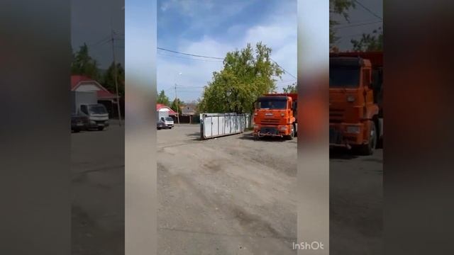 отлов собак май 2022г. смотреть онлайн