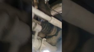 Причина стуков в передней подвеске субару импреза gh3 2008 года найдена!