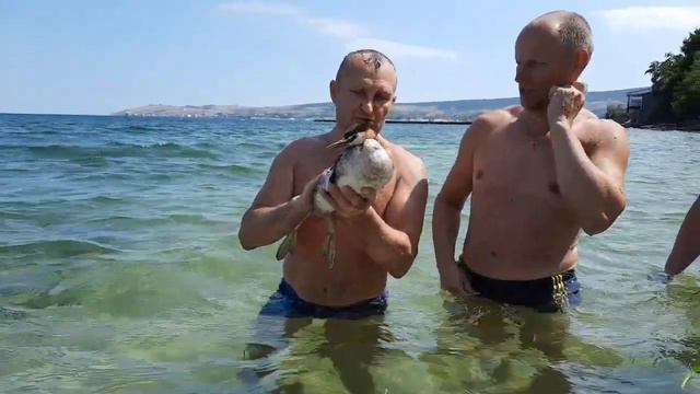 МОРЕ МОРЕ МИР БЕЗДОННЫЙ 🤪🤪🤪👍👍👍 смотреть онлайн