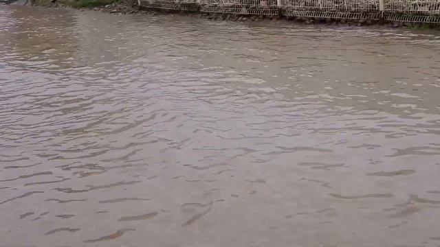 ШАНХАЙ ЗАТОП смотреть онлайн