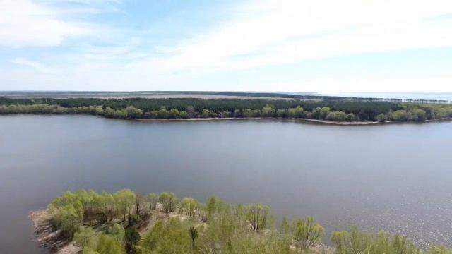 залив Белая рыбка смотреть онлайн