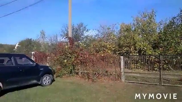 Осень. День как день. Блины, мысли, собака листья, грибы и я. смотреть онлайн