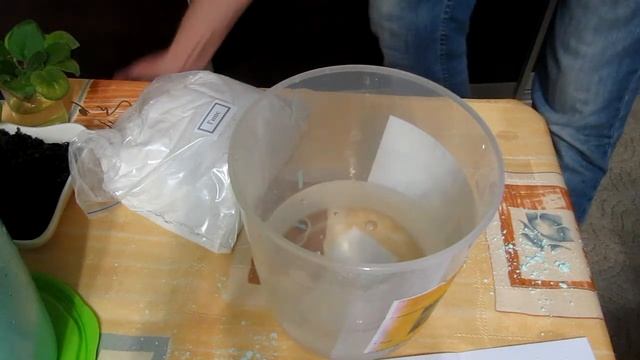 Необычный горшок для фиалки смотреть онлайн