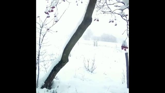 ОГОНЬ И ЛЁД или Зима и печка/ Winter, fire смотреть онлайн