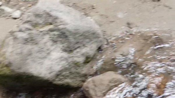 нижний Чегем