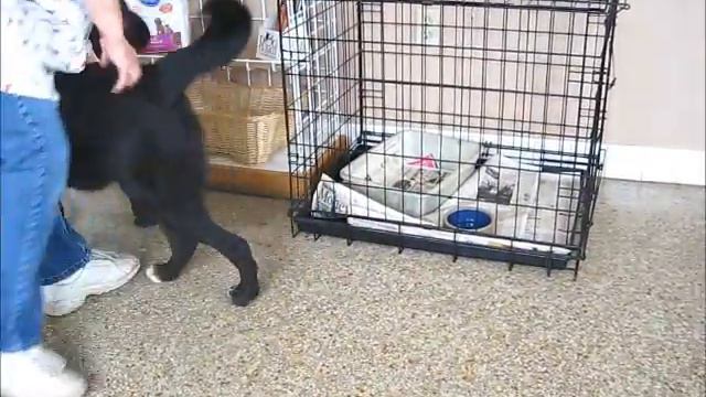 April.wmv смотреть онлайн