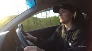 Honda Vezel. Настя рассказывает свое мнение о Хонде Везел.  #DrobikiVladivostok