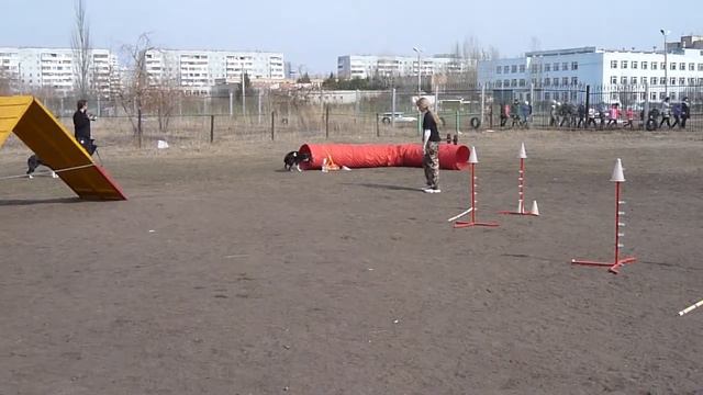 Маша и Грант 16.04.14 г. смотреть онлайн