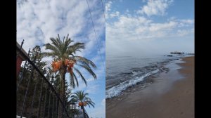 Glamour Resort & Spa 5*. Территория вокруг. Турция Ноябрь 2023