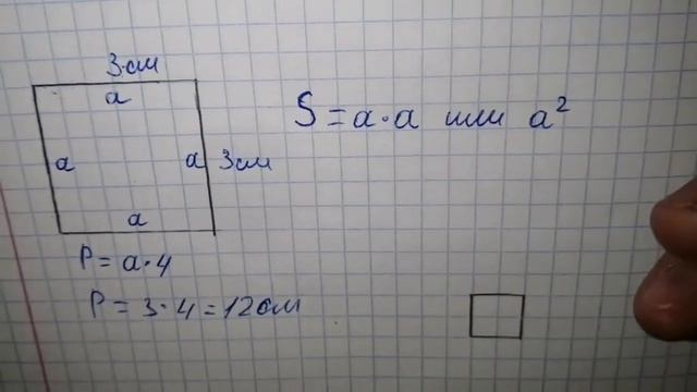 Как найти площадь и периметр квадрата?