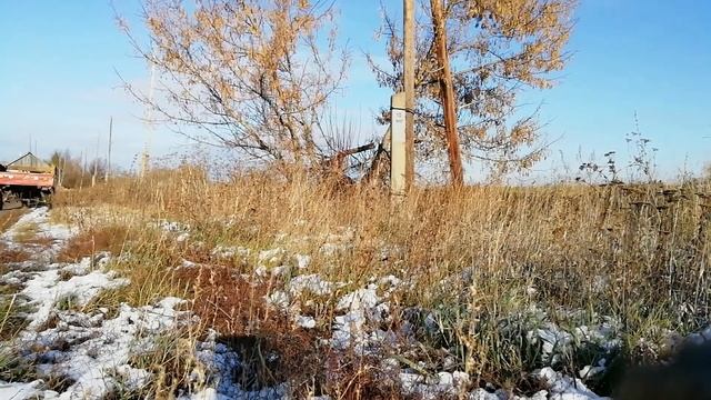 Клён на дрова, вырос не к месту. смотреть онлайн