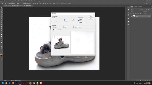 Cómo guardar imágenes en formato Webp con Photoshop смотреть онлайн