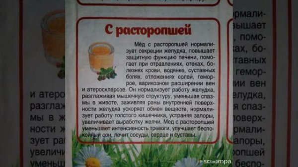 Мёд с расторопшей!Свойства