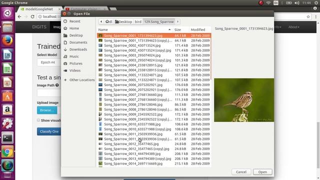 DIGITS 6.0 NVidia caffe Ubuntu 16 Deep Learning tutorial and example смотреть онлайн