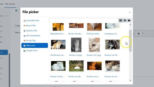How to Use the Forum in Moodle 4.0 for Students смотреть онлайн