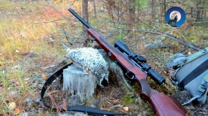 ОХОТА НА РЯБЧИКОВ ОКОЛО ДЕРЕВНИ