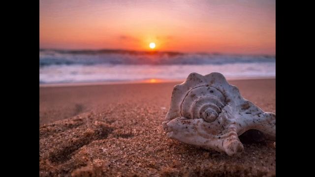 Mood - Chill - Vibes??Best Chill Song