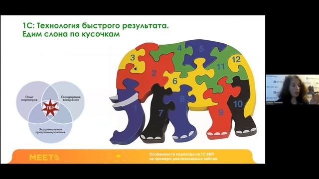 Как грамотно внедрять ERP? Варианты подходов и технологий: от Водопада до Agile, Мария Темчина смотреть онлайн
