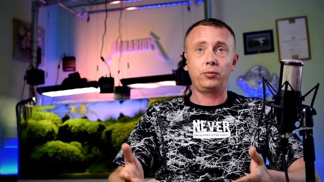 Выбор освещения для аквариума: советы проФФессионалов! смотреть онлайн