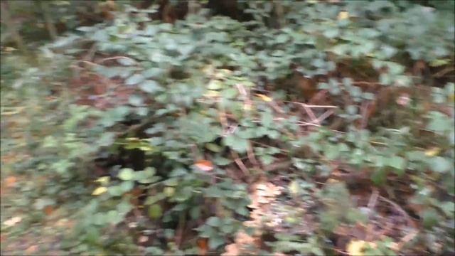 Где живут немецкие людоеды смотреть онлайн