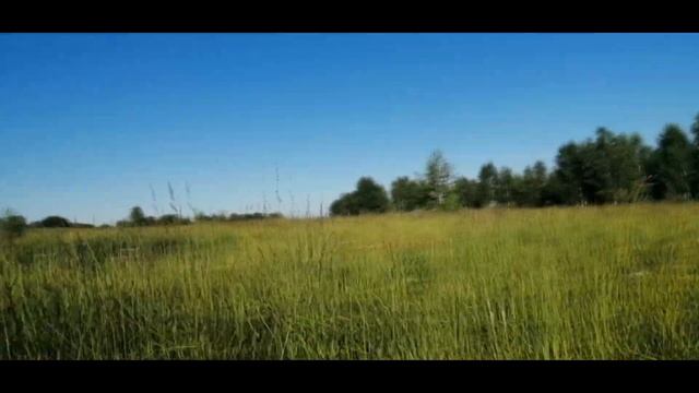 Дизельный мотоблок Варяг МБ-903 с жигулевскими колесами и самодельным прицепом | Варяг #1 смотреть онлайн