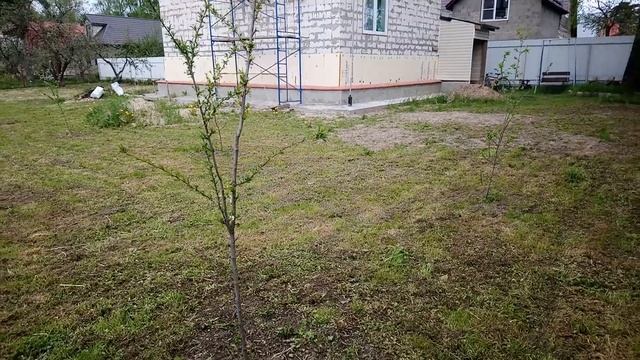 5 лет строительства дома своими руками за 5 минут смотреть онлайн