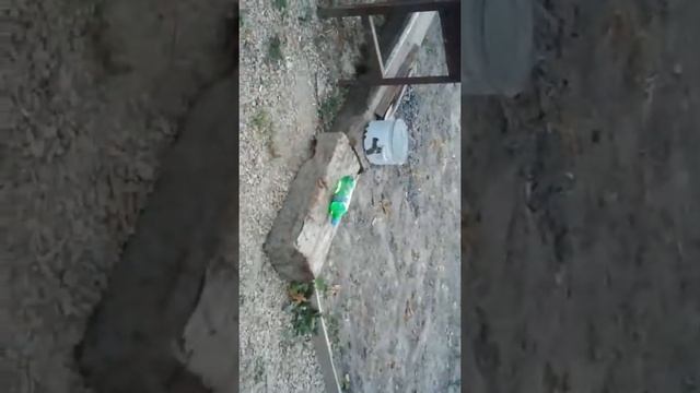 Я и грузин Зука смотреть онлайн
