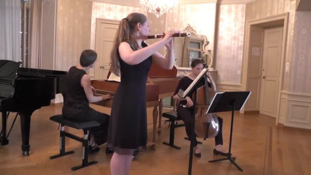 Bach - Sonata for Flute and Basso Continuo in e minor BWV 1034 смотреть онлайн