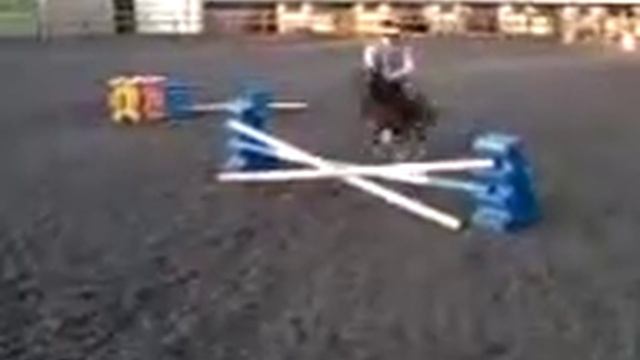 shetland pony jumping 3 смотреть онлайн