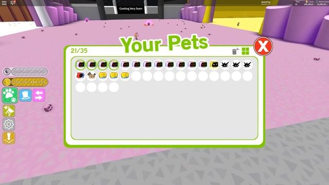 СИМУЛЯТОР ПИТОМЦЕВ 10 БОЛЬШОЕ ОБНОВЛЕНИЕ! СЕКРЕТНЫЕ ПИТОМЦЫ ROBLOX PET SIMULATOR смотреть онлайн